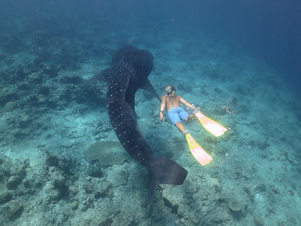 HOLIDAY INN KANDOOMA - 145