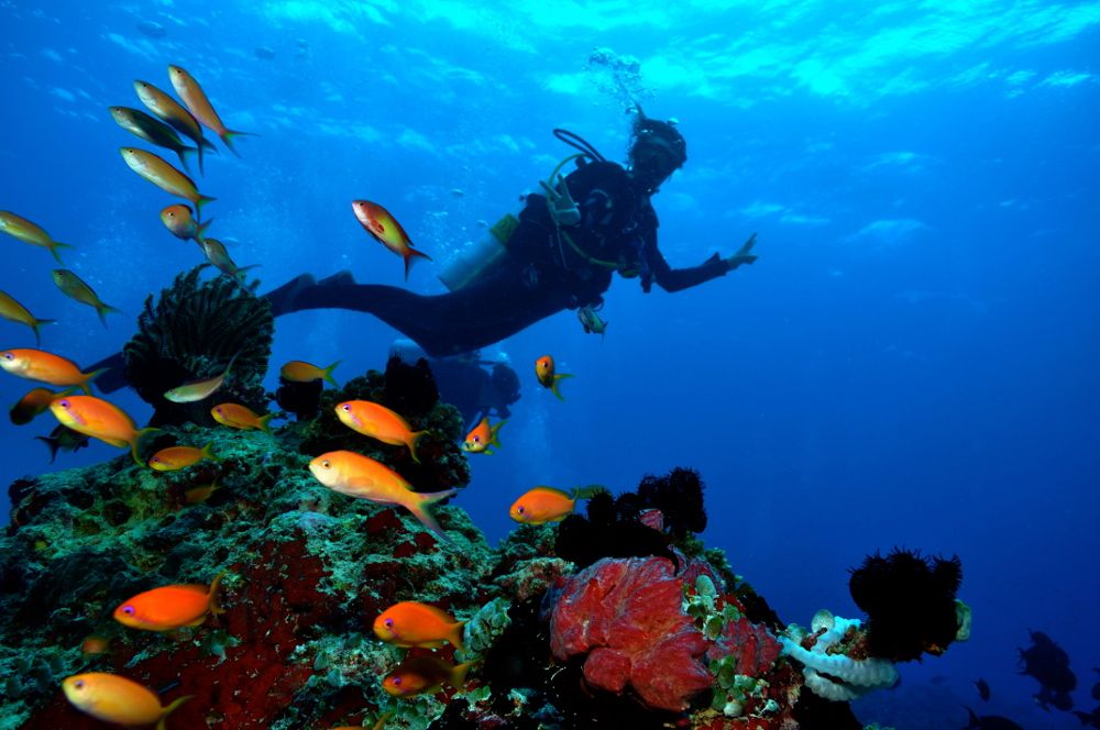 HOLIDAY INN KANDOOMA - 127