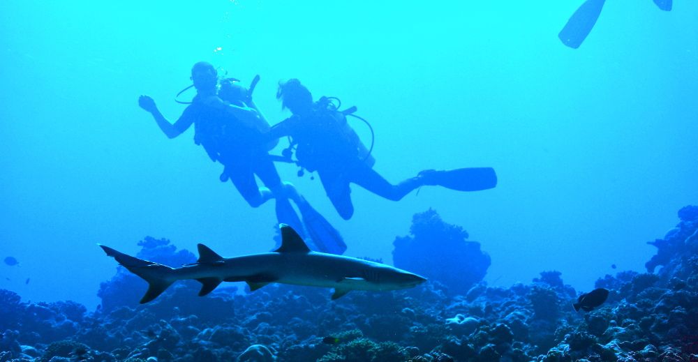 HOLIDAY INN KANDOOMA - 126