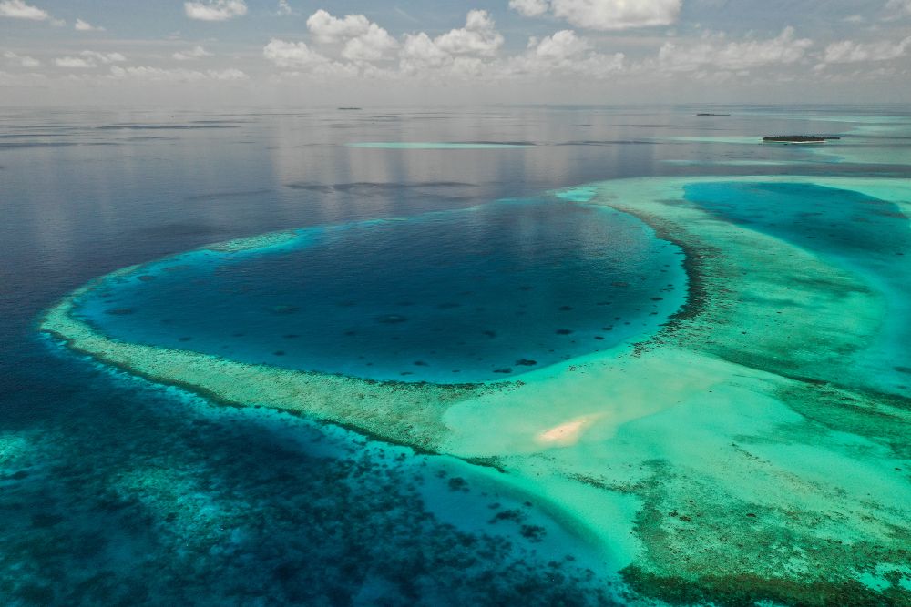 Картинка отеля - 42