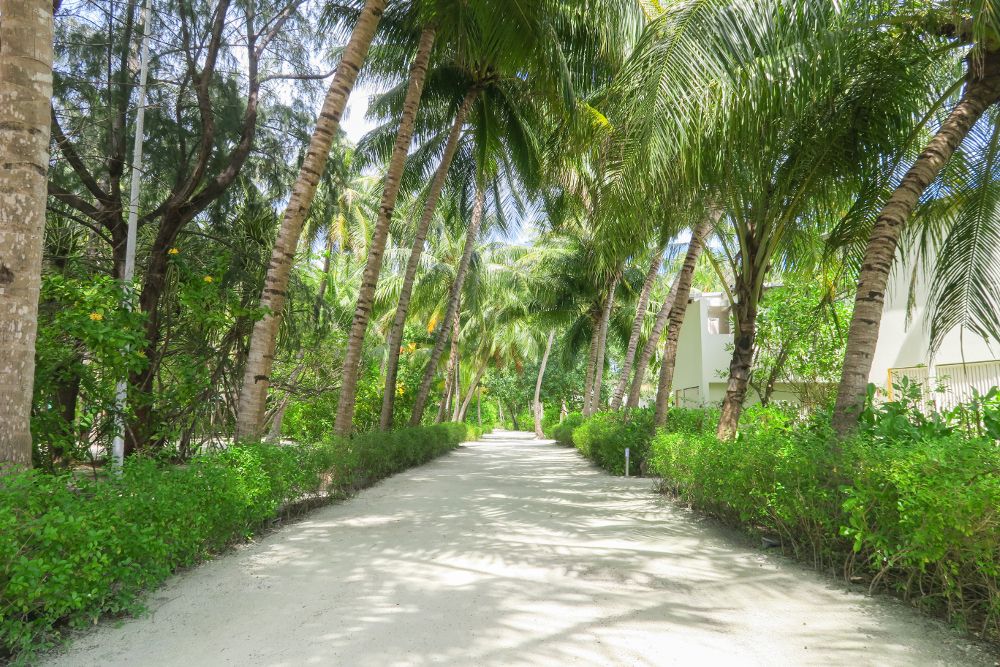 HOLIDAY INN KANDOOMA - 29