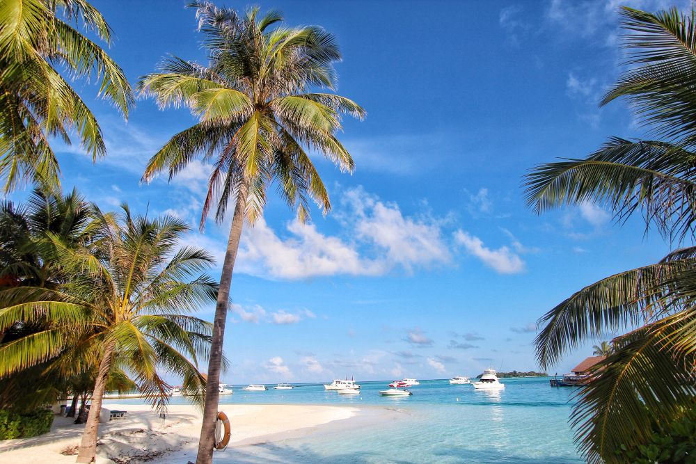 Картинка отеля - 28