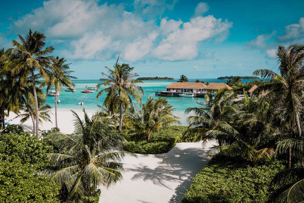 Картинка отеля - 26