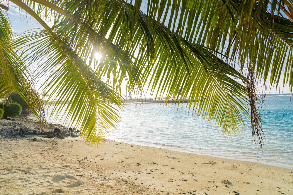 Картинка отеля - 24