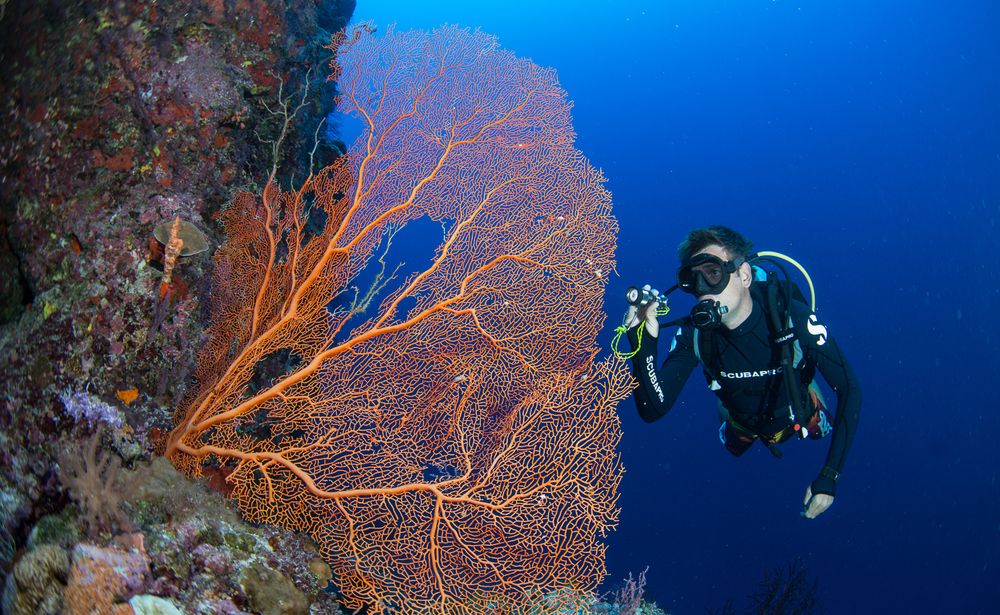 GRAND PARK KODHIPPARU - 44