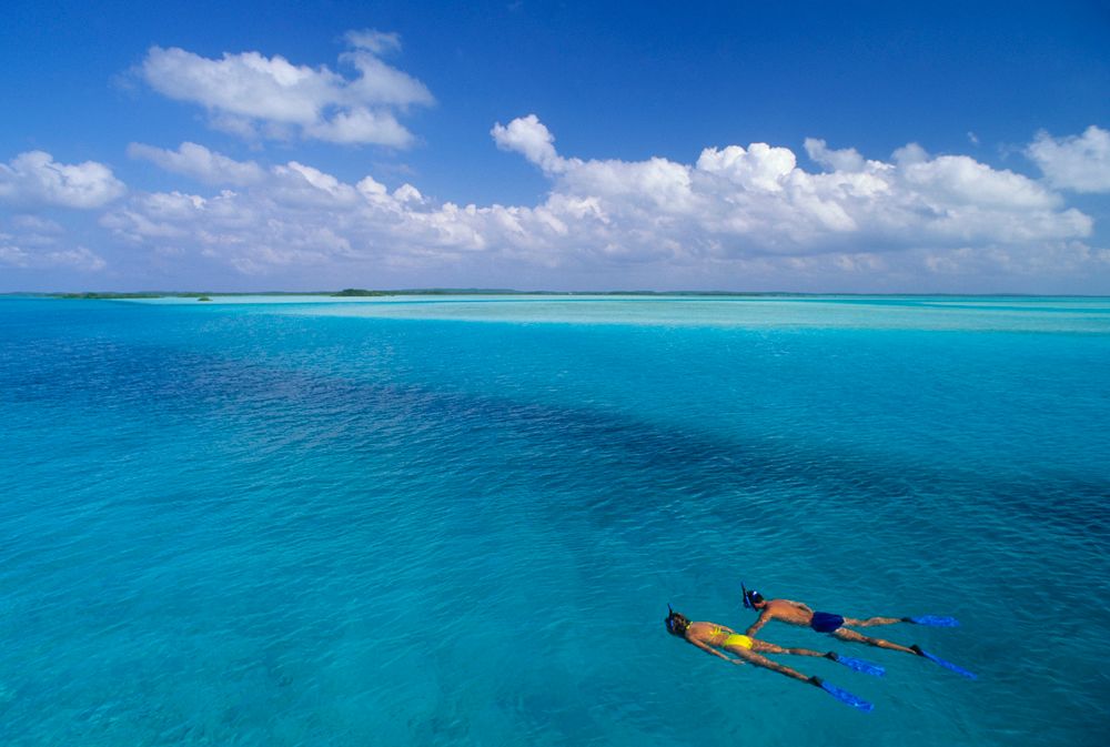 Картинка отеля - 42