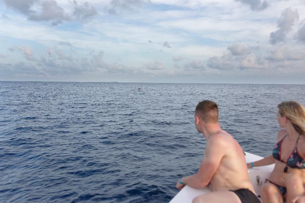 Картинка отеля - 71