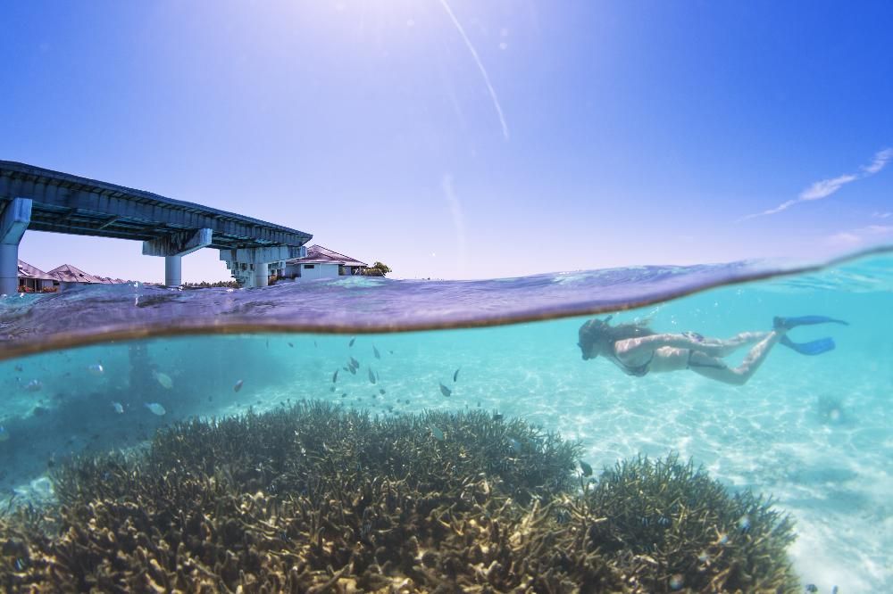 Картинка отеля - 58