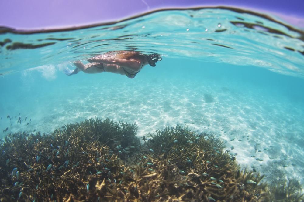 Картинка отеля - 57