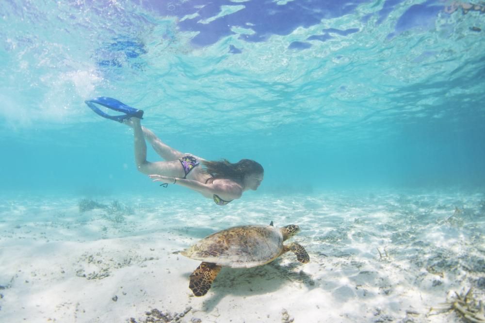 Картинка отеля - 56