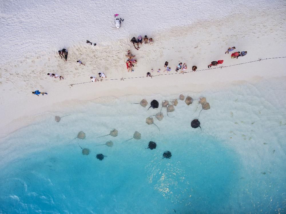 Картинка отеля - 55