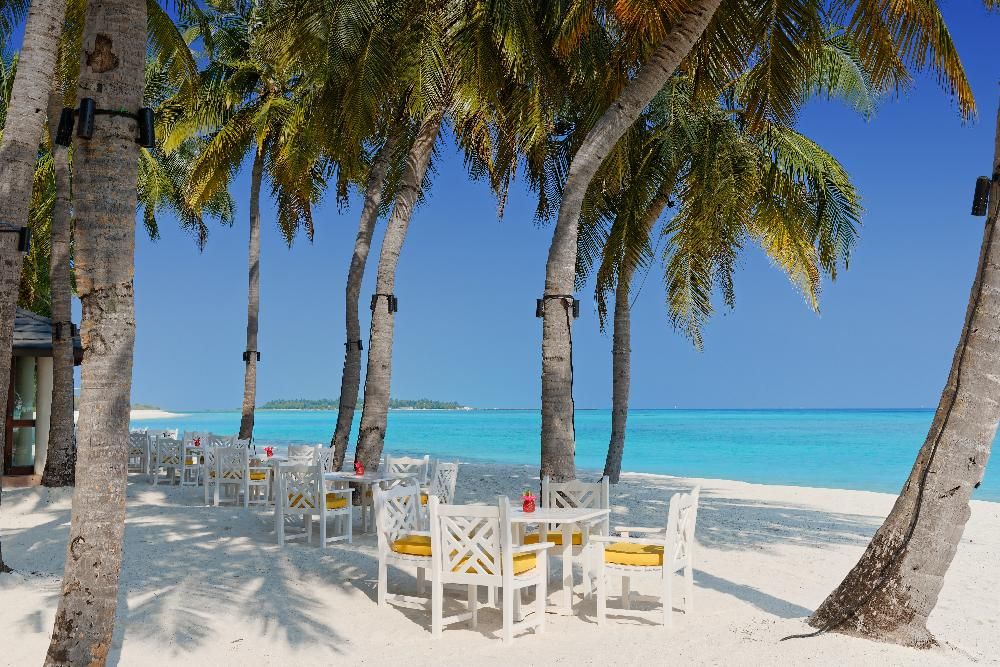 Картинка отеля - 13