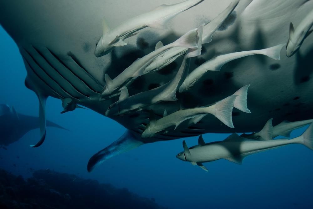 Картинка отеля - 33