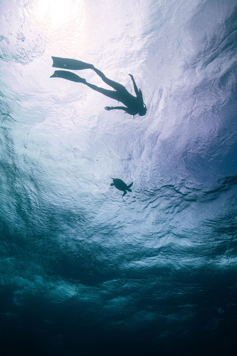 Картинка отеля - 5