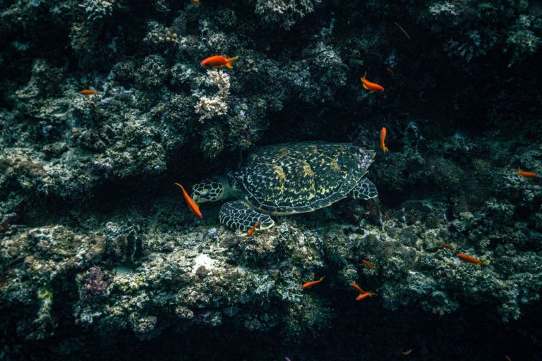 Картинка отеля - 4