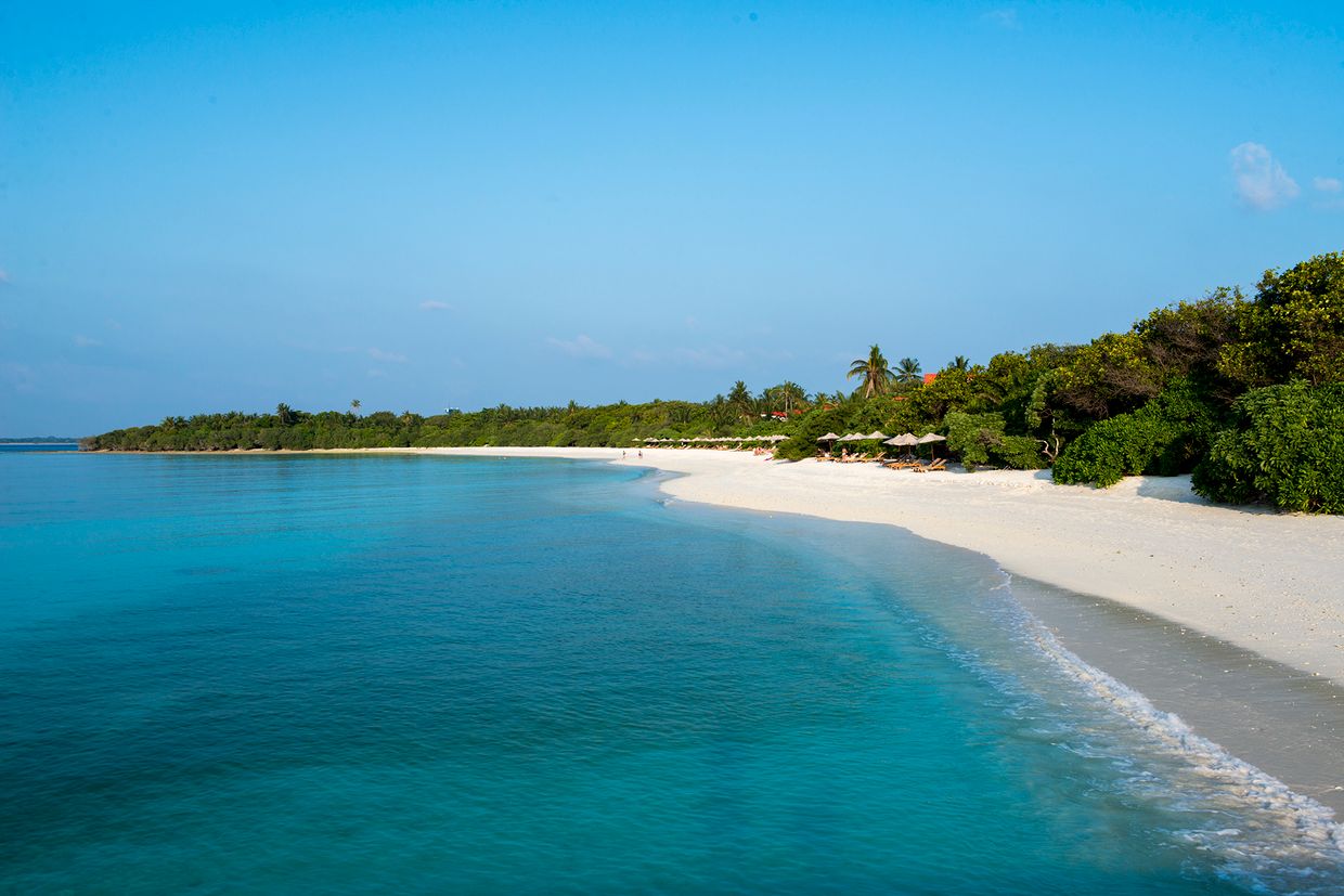 THE BAREFOOT ECO HOTEL - 13