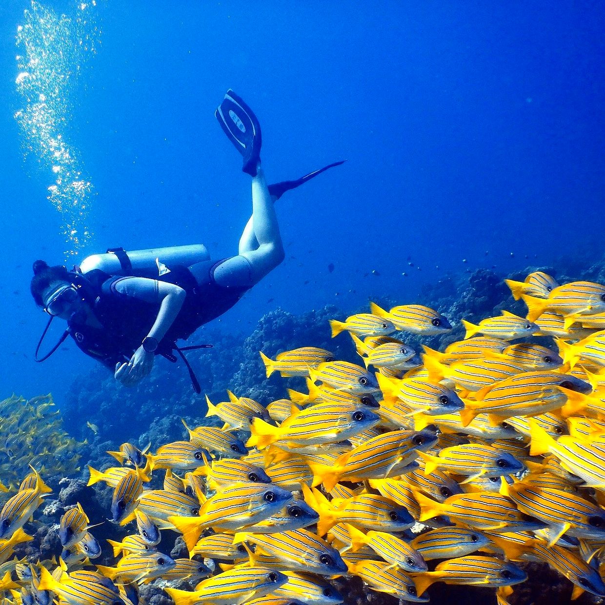 THE BAREFOOT ECO HOTEL - 15