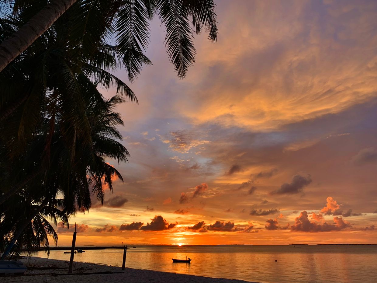 THE BAREFOOT ECO HOTEL - 6