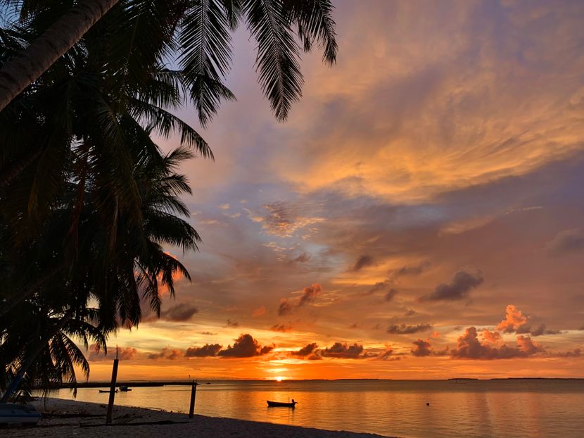 THE BAREFOOT ECO HOTEL - 6