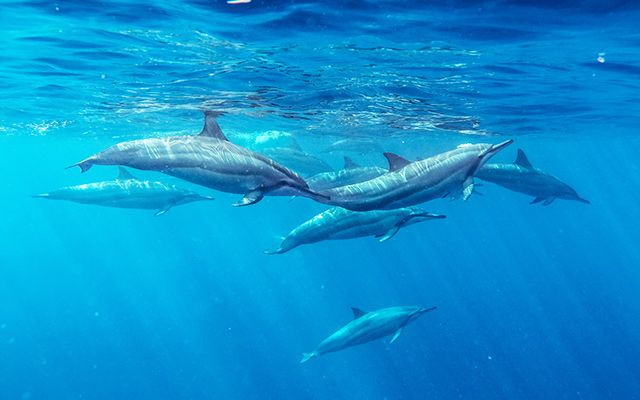 Картинка отеля - 11