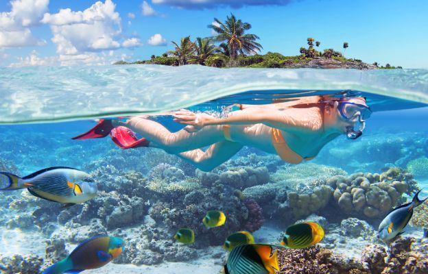 Картинка отеля - 10