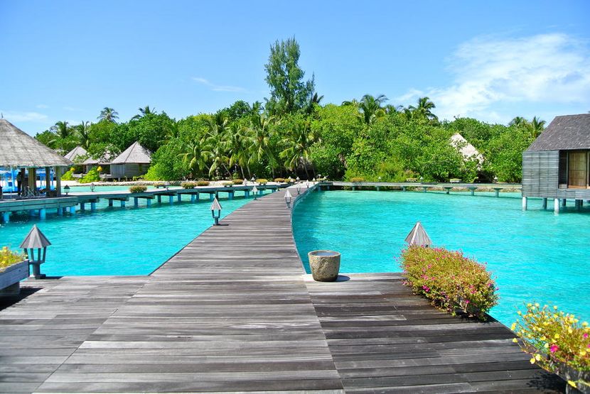 GANGEHI ISLAND RESORT - 3