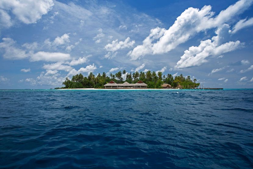 MALAHINI KUDA BANDOS - 2