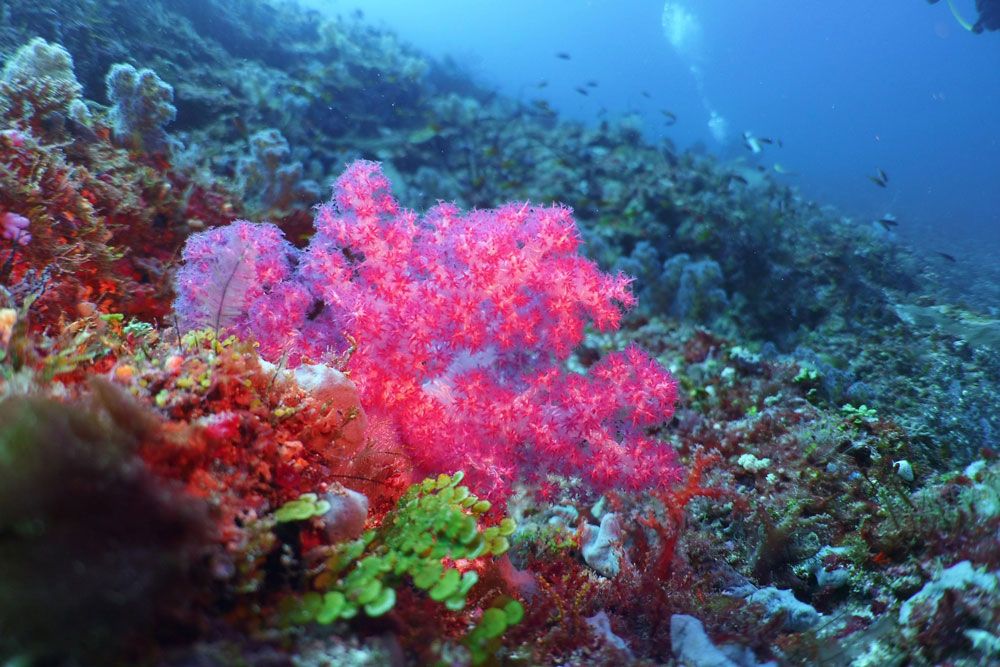 Картинка отеля - 39