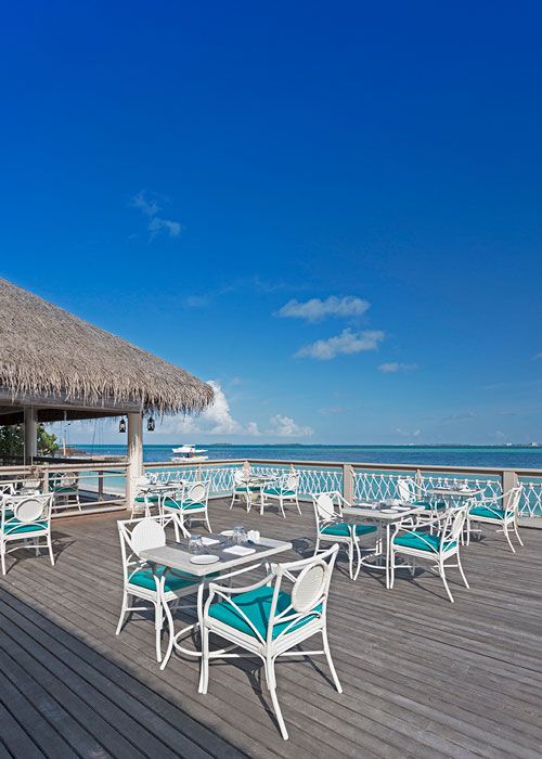 MALAHINI KUDA BANDOS - 26