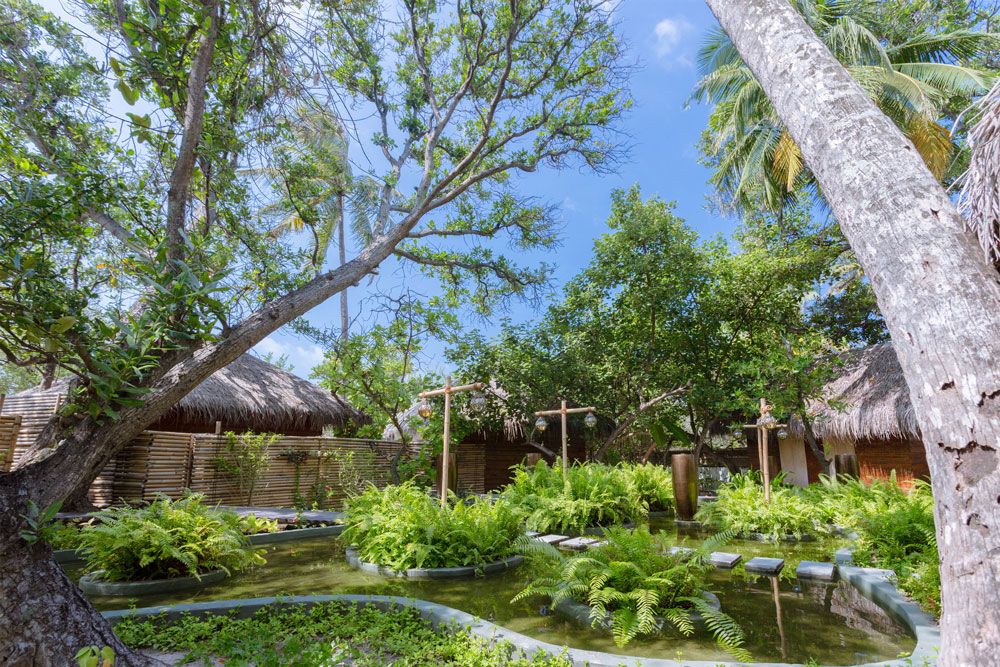 MALAHINI KUDA BANDOS - 33