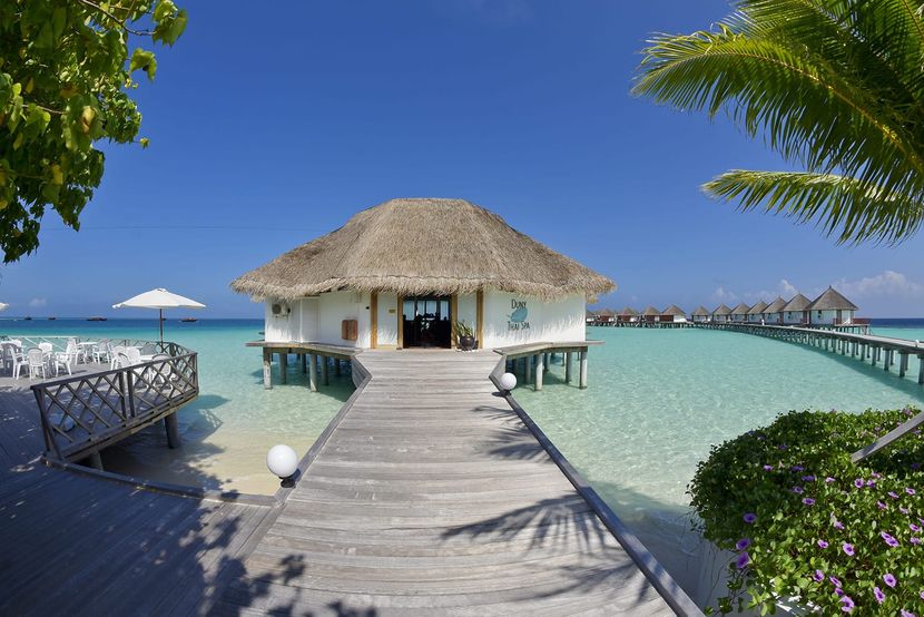 SAFARI ISLAND RESORT - 3