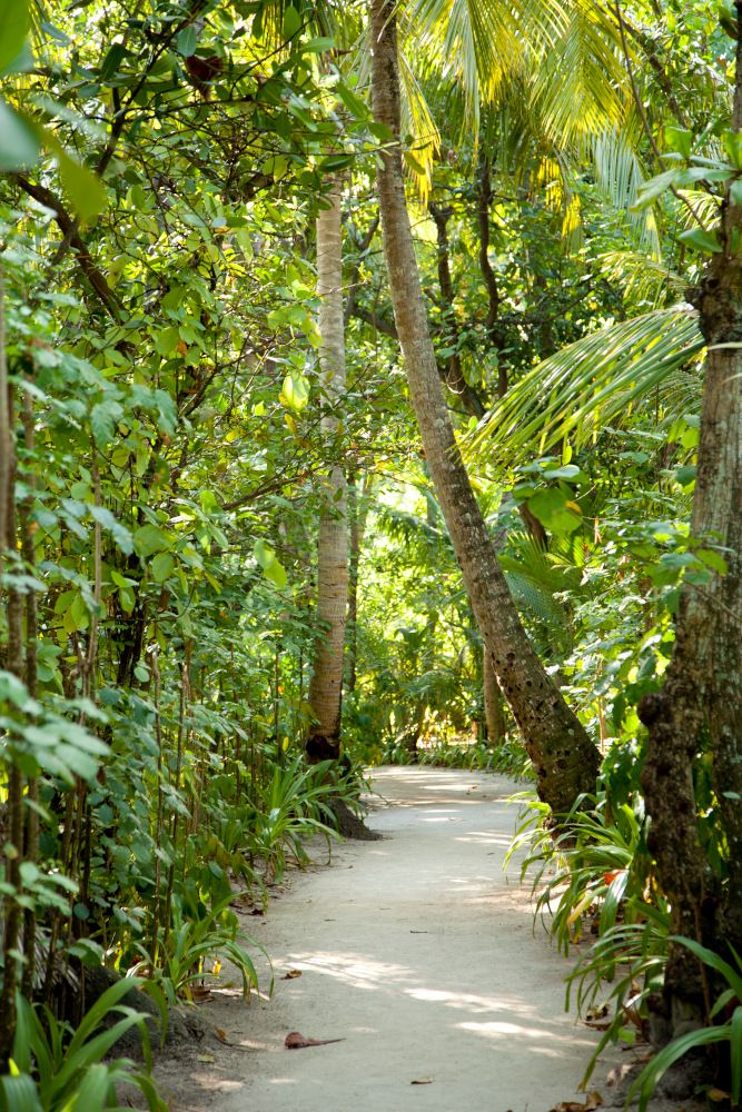 MAKUNUDU ISLAND (only adults 10+) - 6
