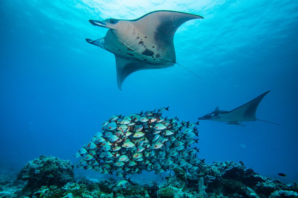 Картинка отеля - 57