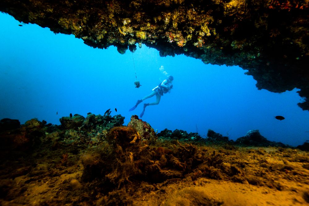 Картинка отеля - 56