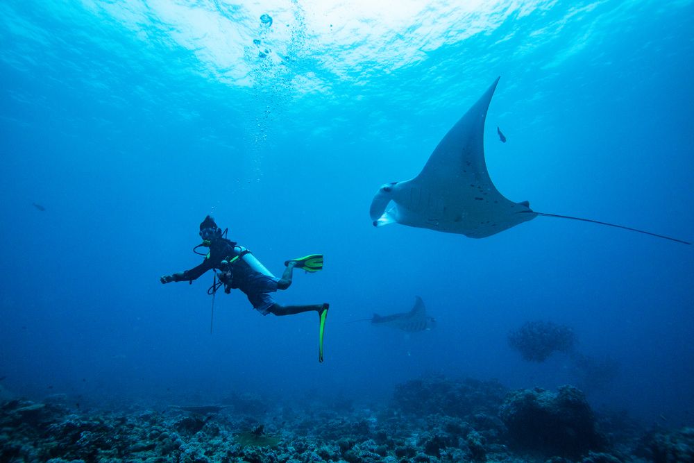 SUMMER ISLAND MALDIVES  - 55