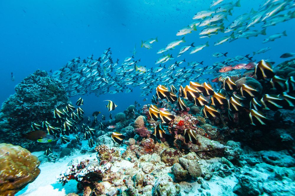 Картинка отеля - 54