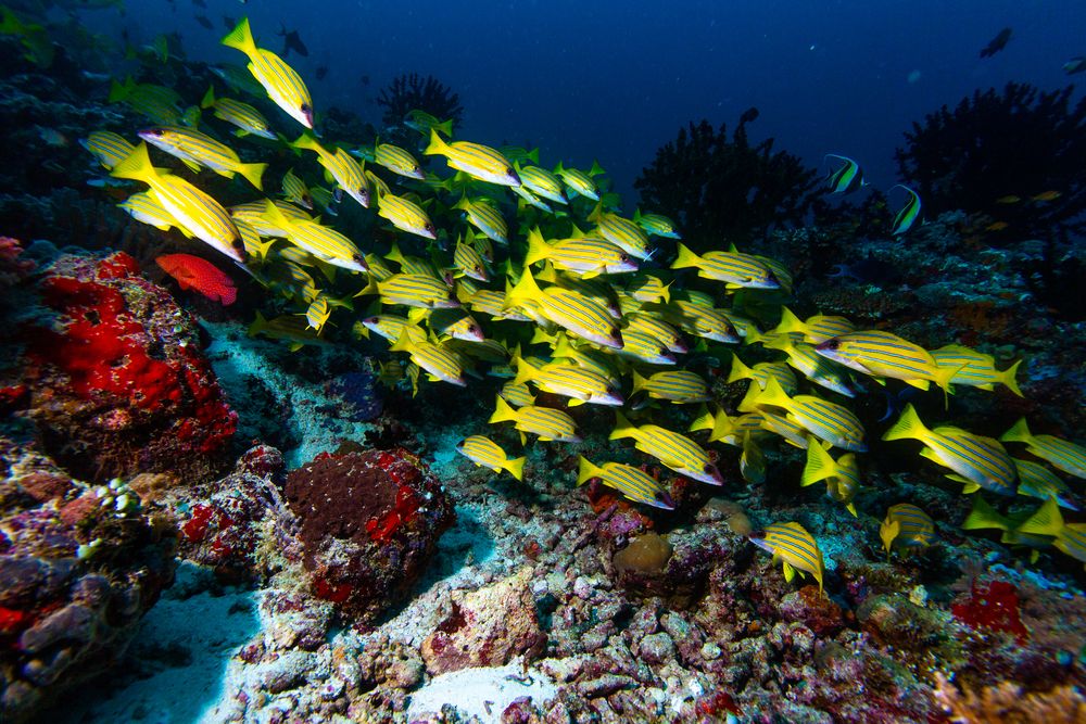 Картинка отеля - 53