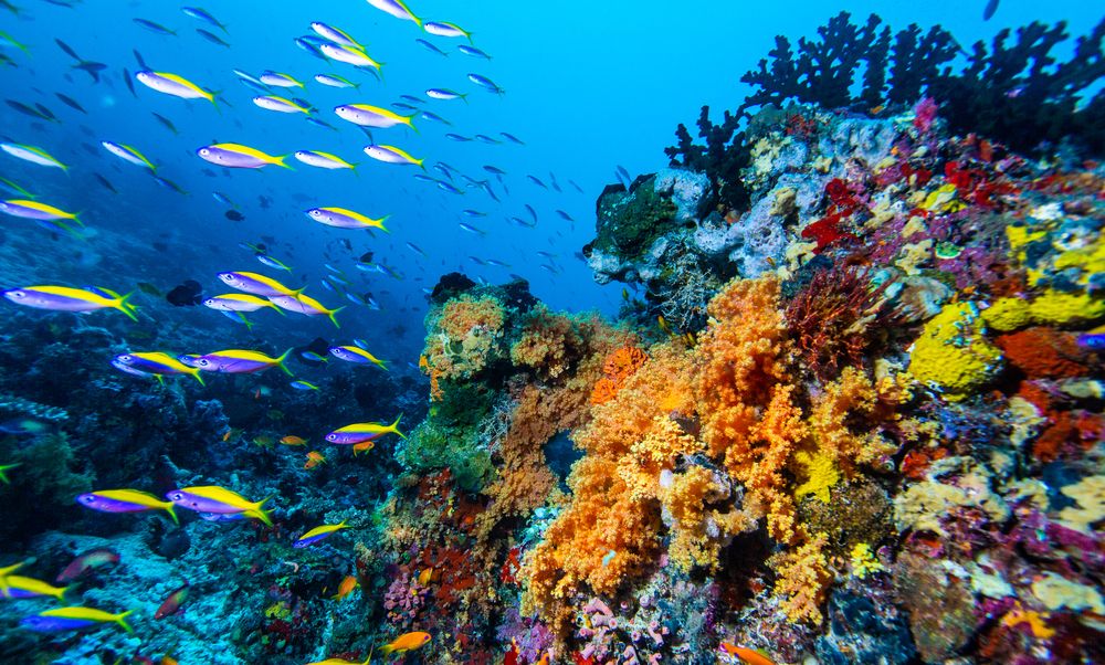 Картинка отеля - 52