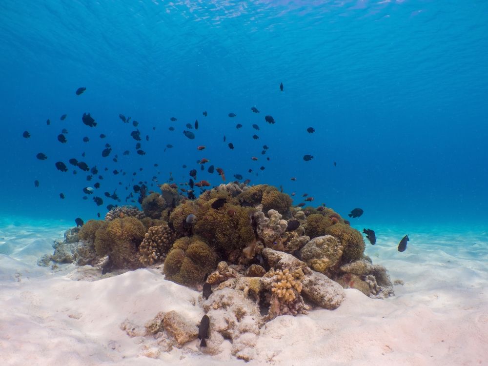 Картинка отеля - 46