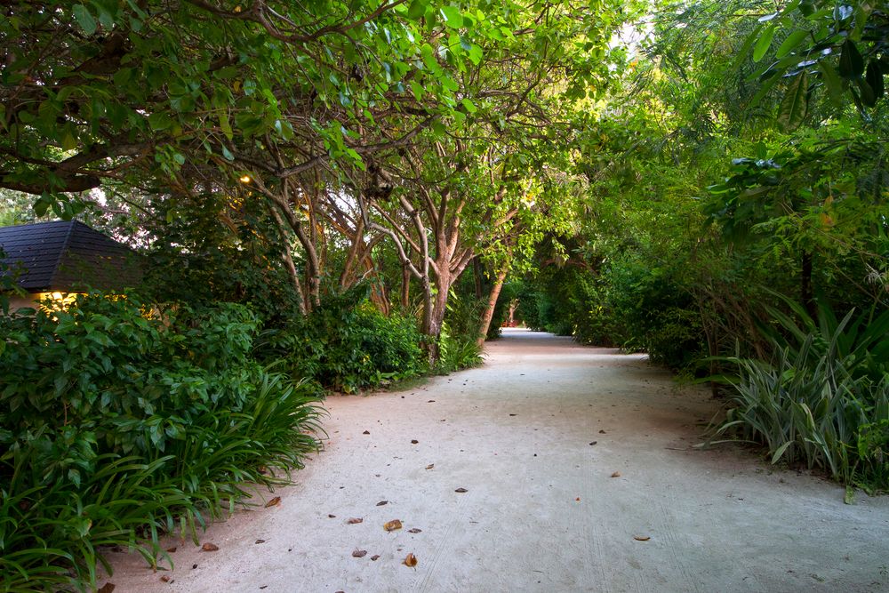 SUMMER ISLAND MALDIVES  - 12