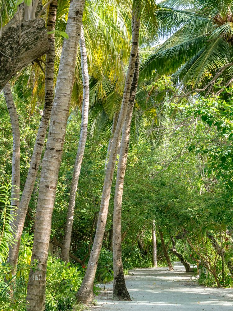 Картинка отеля - 11