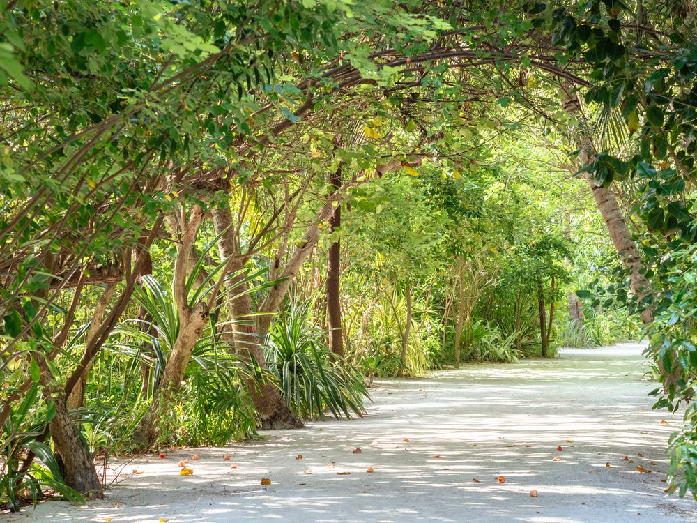 SUMMER ISLAND MALDIVES  - 10