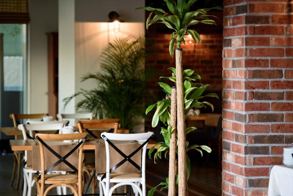 Картинка отеля - 38