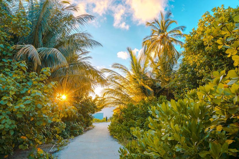RAHAA RESORT - 5