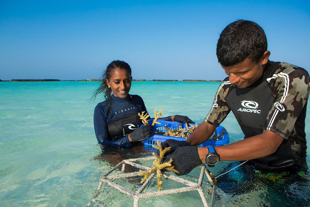 Картинка отеля - 33