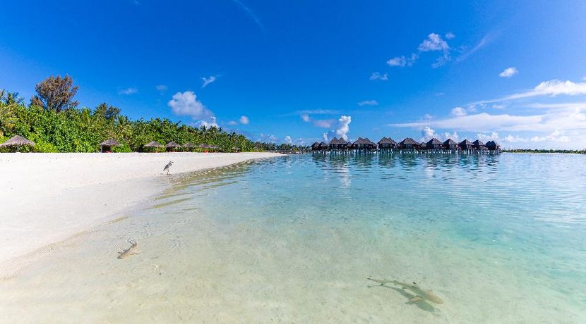 SUN SIYAM OLHUVELI MALDIVES - 3