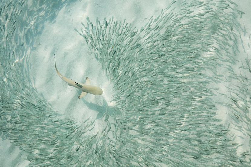 SUN SIYAM IRUFUSHI - 6