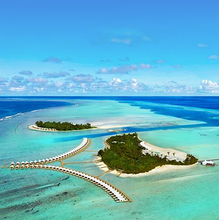 CINNAMON HAKURA HURA MALDIVES (only adults 18+)) - 6