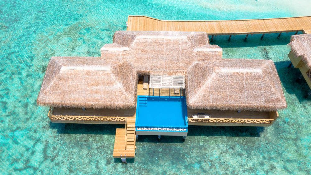 YOU & ME BY COCOON (only adults 16+) - 60