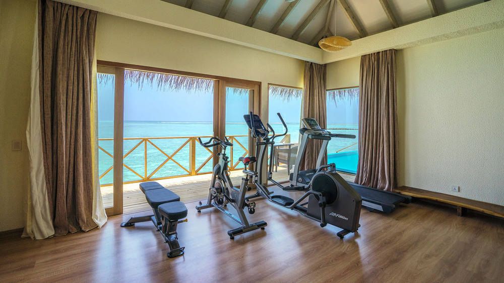 YOU & ME BY COCOON (only adults 16+) - 59